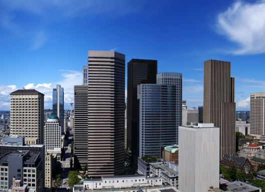 City Hotels